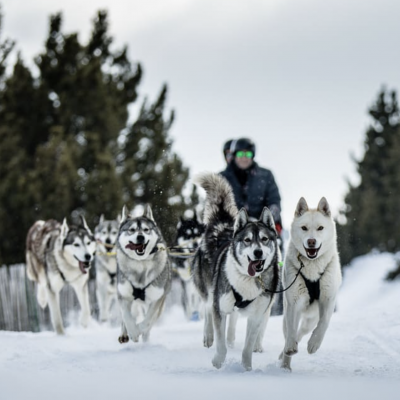 Captura de pantalla 2025-04-17 a las 12.30.45