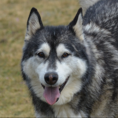 Captura de pantalla 2025-04-17 a las 12.32.09