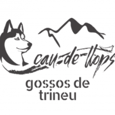 Captura de pantalla 2025-04-17 a las 12.36.55