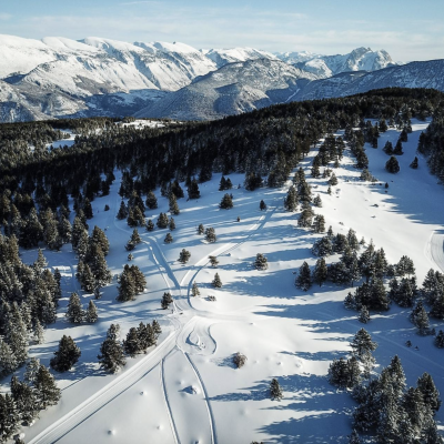 Captura de pantalla 2025-04-17 a las 12.40.05